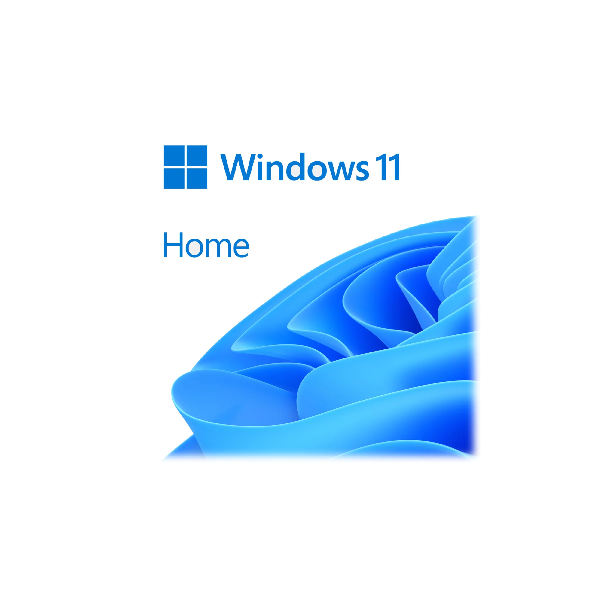 Microsoft Windows 11 Home 64-Bit OEM English DVD 1 Pack