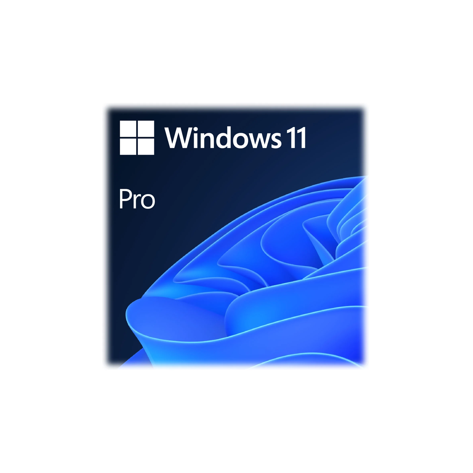 Microsoft Windows 11 Pro 64-Bit OEM English DVD 1 Pack