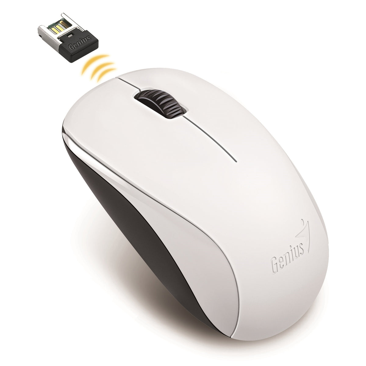  2.4 GHz with USB Pico Receiver