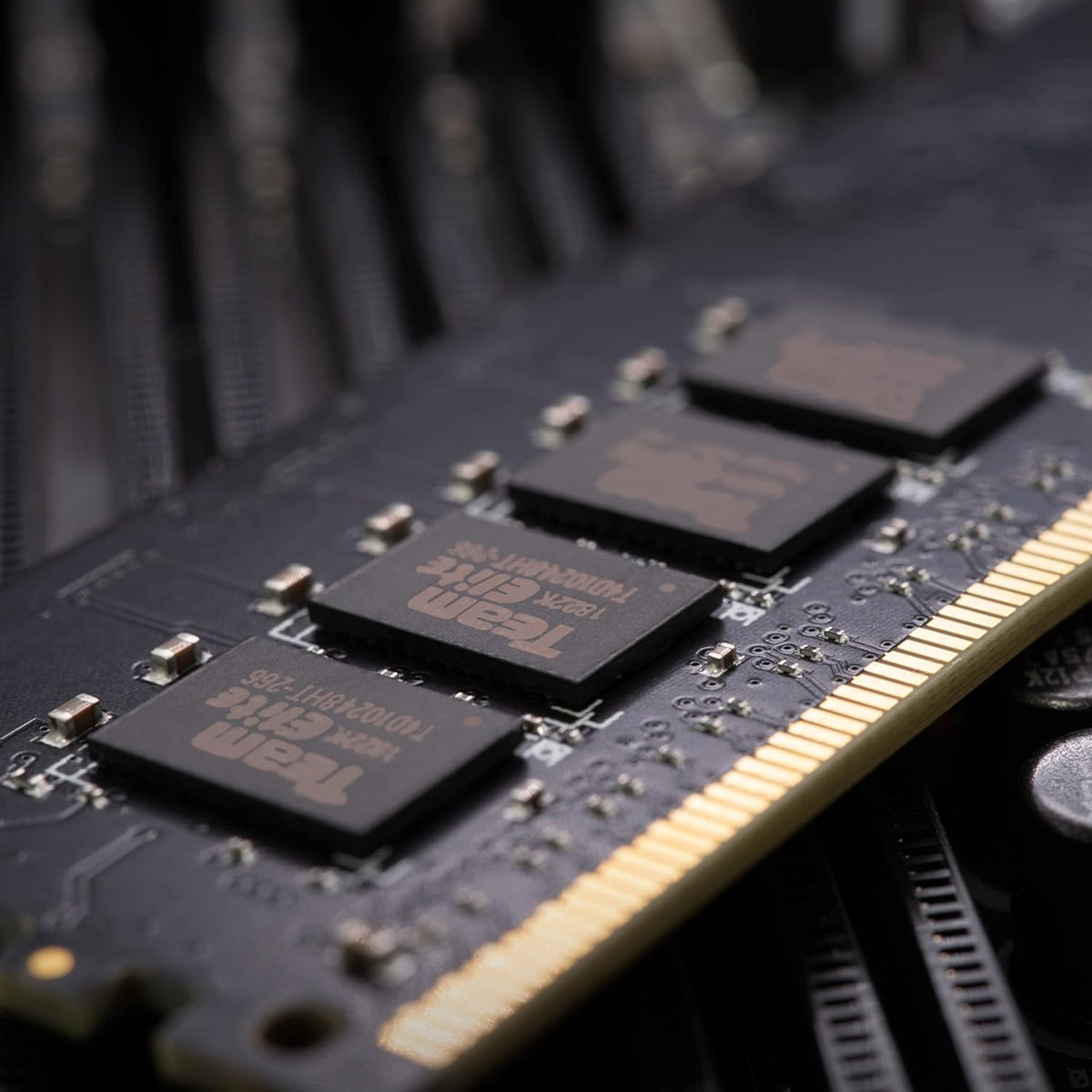 Team ELITE 16GB No Heatsink (1 x 16GB) DDR5 4800MHz DIMM System Memory