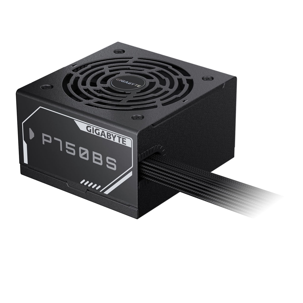  Single +12V Rail