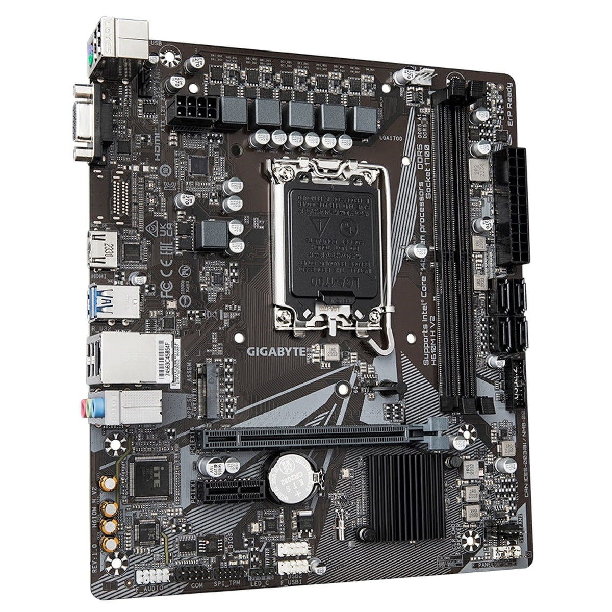  2x DDR5 Slots