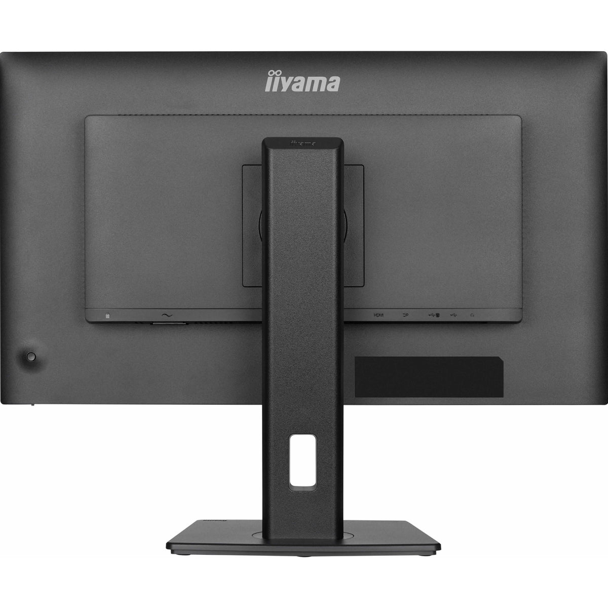  300 cd/m (2) Brightness
